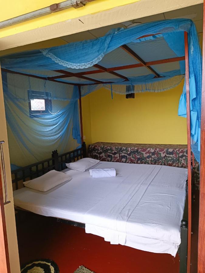 Three Little Birds Hotel Тангале Екстериор снимка