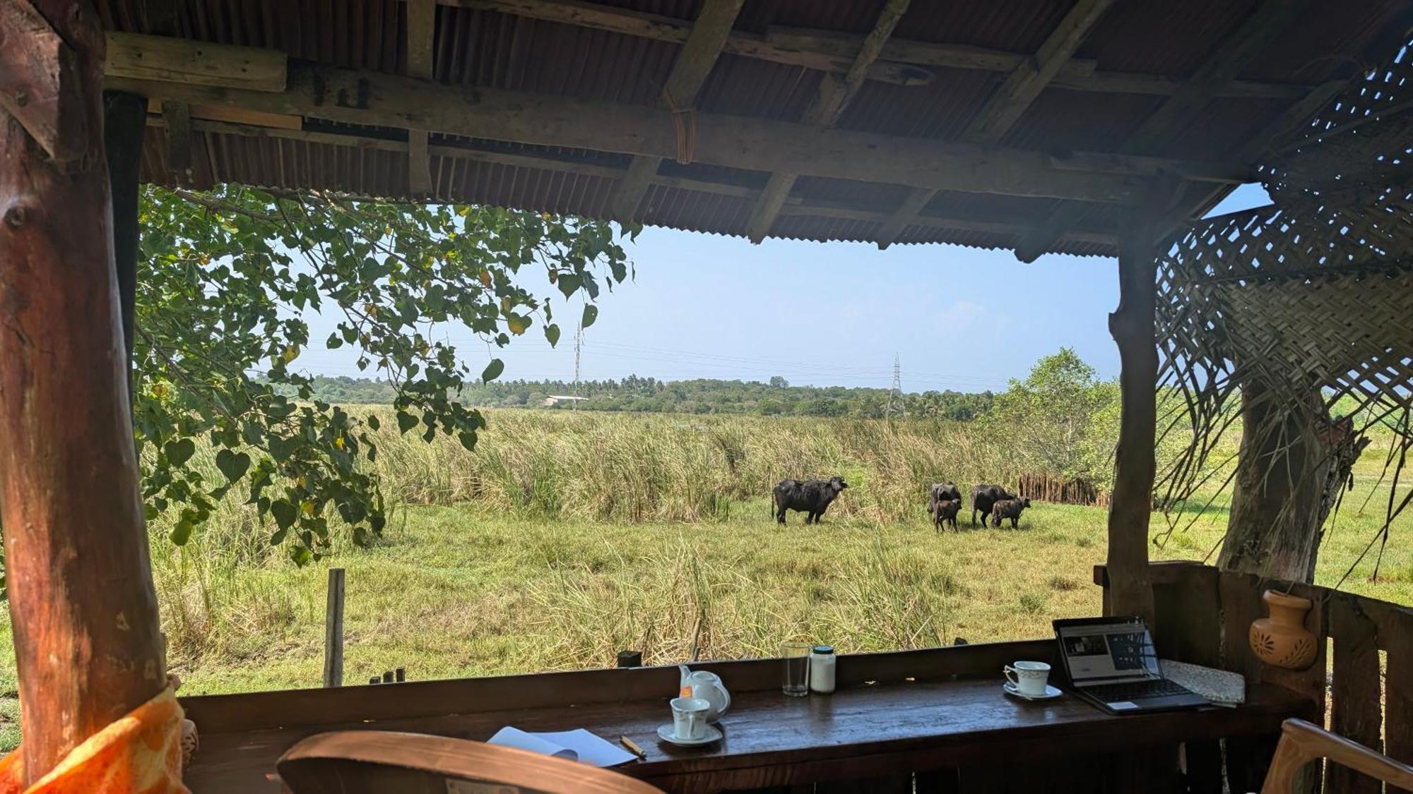 Three Little Birds Hotel Тангале Екстериор снимка