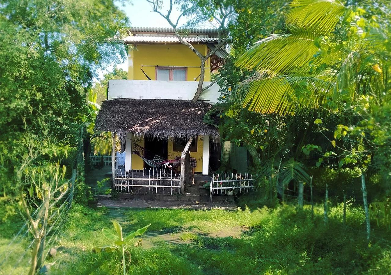 Three Little Birds Hotel Тангале Екстериор снимка